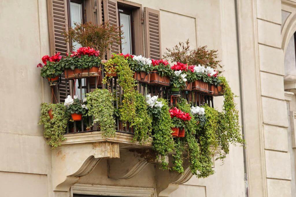 Balkon, Blumen