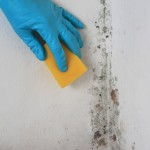 Schimmel an der Wand