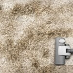 Teppich reinigen
