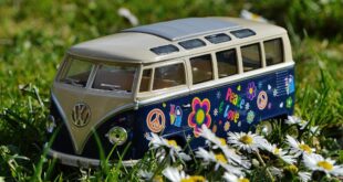VW Camper
