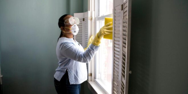 Streifenfrei Fensterputzen