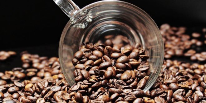 Kaffeebohnen kaufen – Worauf man achten sollte