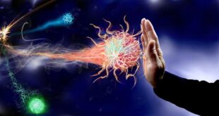 Immunsystem