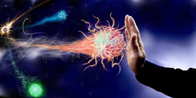 Immunsystem