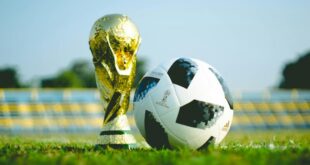 Fussball WM