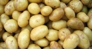 Kartoffeln