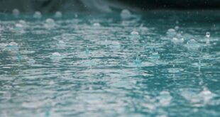 Regenwasser