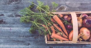 Gemüse aus dem Hochbeet