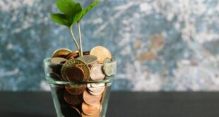 Geld