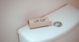 Toilette
