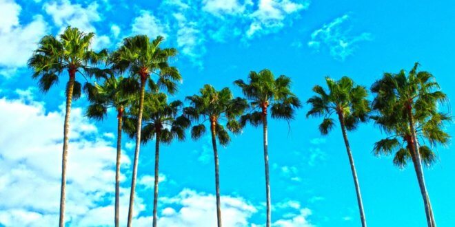 Urlaub im Sonnenstaat Florida
