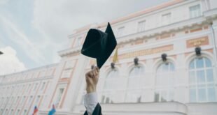 Bachelor, Universität