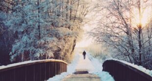 Garten, Winter