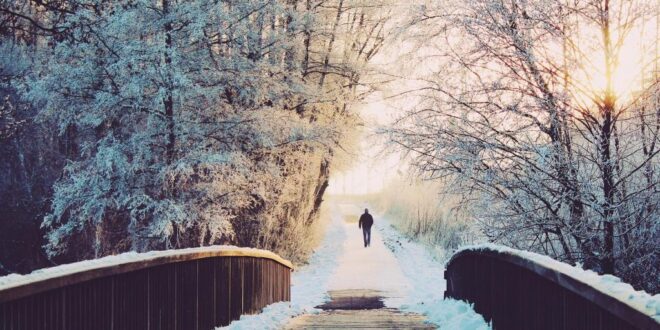 Garten, Winter