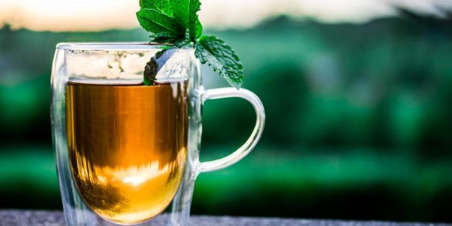 Tee – So erfrischt das Getränk auch im Sommer