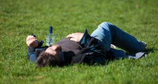 Mensch mit Kater auf der Wiese liegend