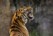 Zoobesuch