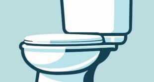 Toilette