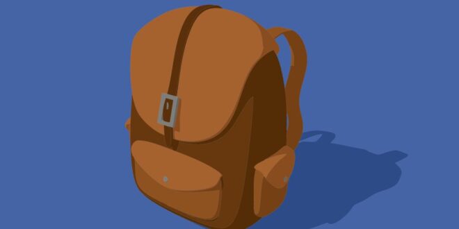 Ledertasche