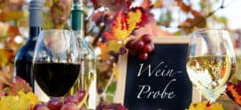 Genuss in der Pfalz: Weinprobe im Herbst, Rotwein, Weiwein, Trauben :)