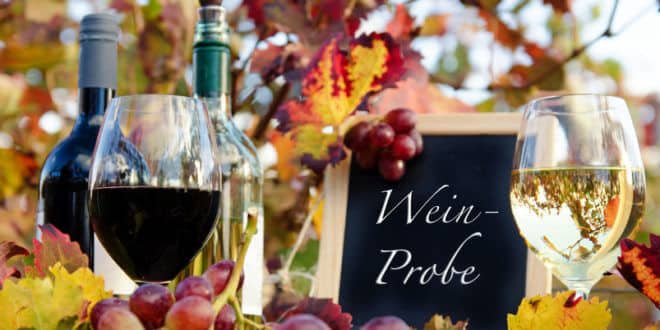 Genuss in der Pfalz: Weinprobe im Herbst, Rotwein, Weiwein, Trauben :)