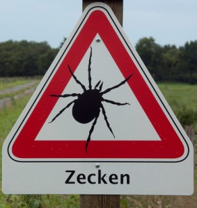 Zecken entfernen